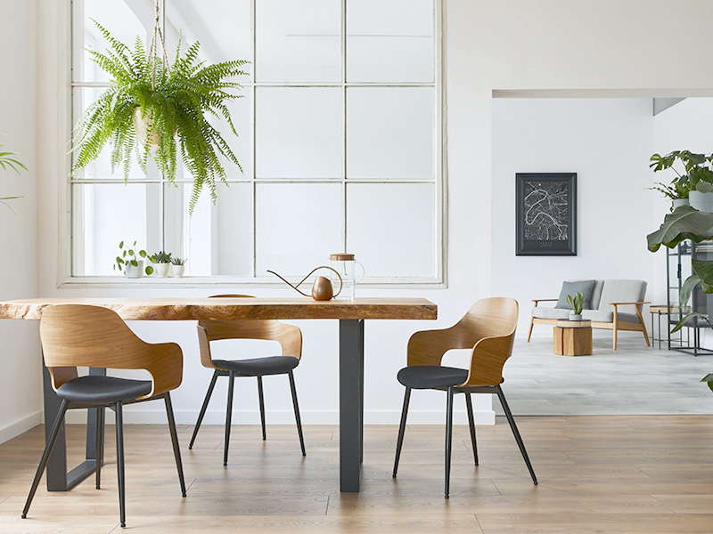 inspirasi warna cat interior agar ruang terlihat terang