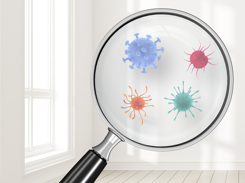 Membersihkan bakteri di dalam rumah