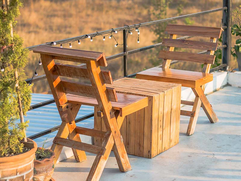 Perlindungan dari Jamur dan Lumut