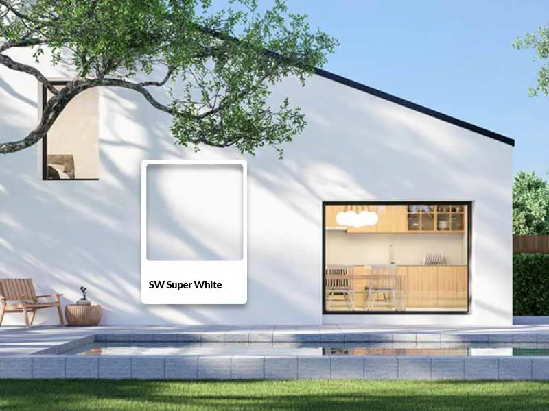SW Super White