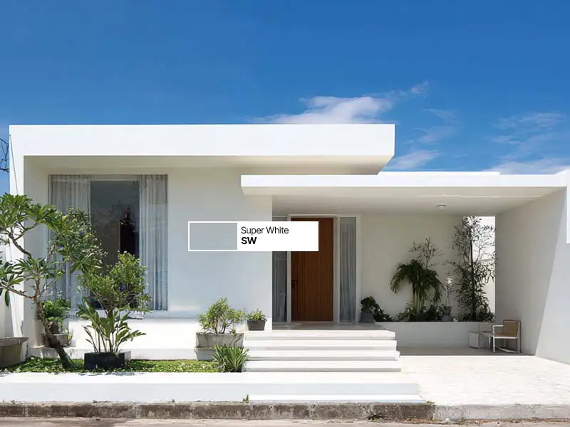 Warna Cat Eksterior Rumah Bagus dan Mewah dengan Avitex Gold