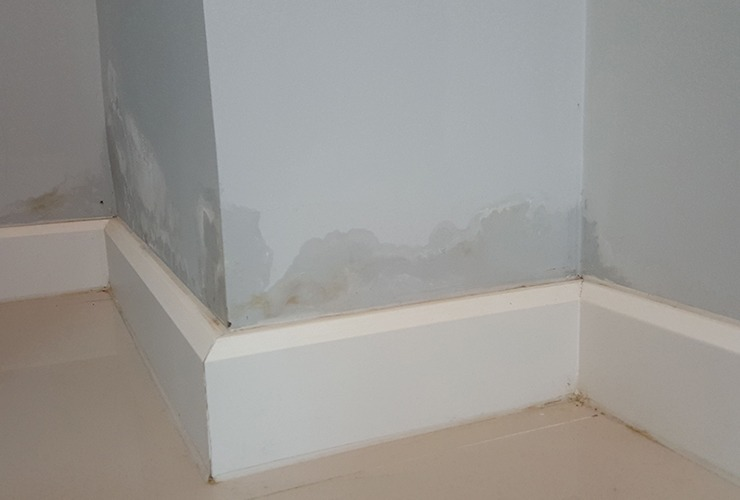 yuk, atasi tembok lembap dan rembes di musim penghujan